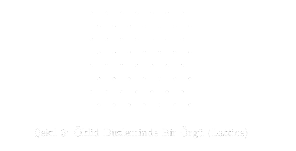 Şekil 3: Öklid Düzleminde Bir Örgü (Lattice)