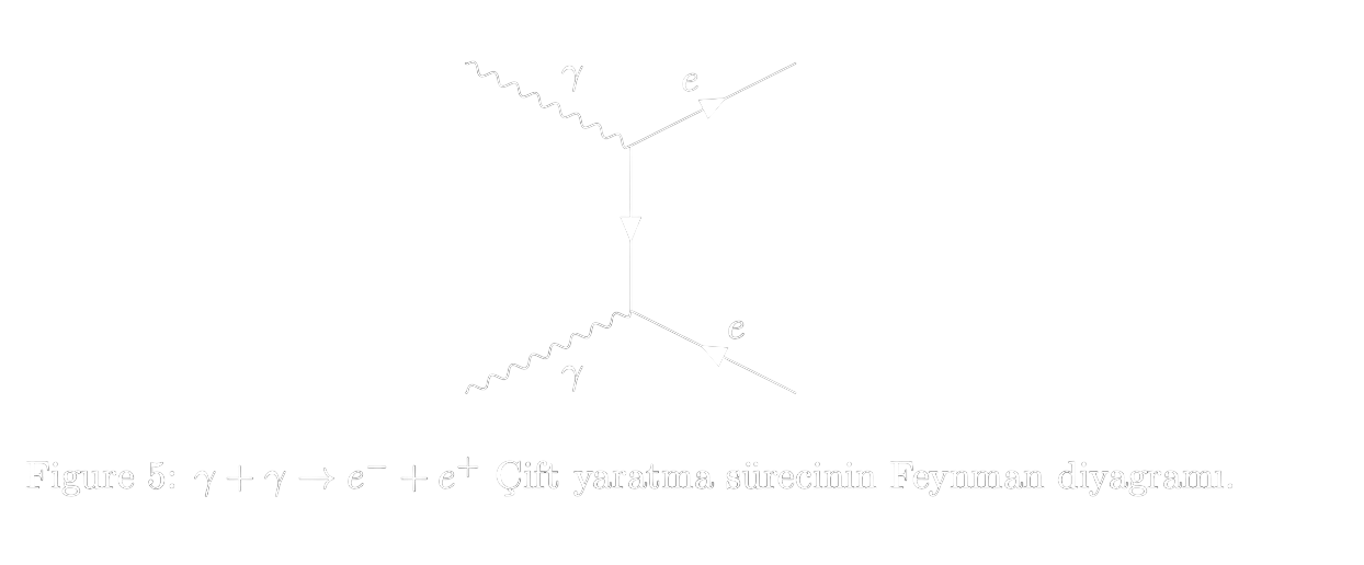 Figür 5: Çift yaratma süreci