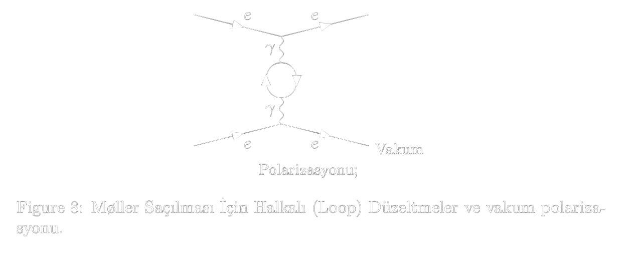 Figür 8: Halkalı düzeltmeler ve vakum polarizasyonu